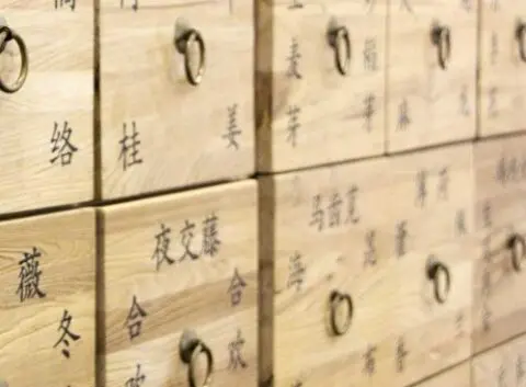日本鍼灸医学 Traditional Japanese Medicine 日本鍼灸医学 Traditional Japanese Medicine